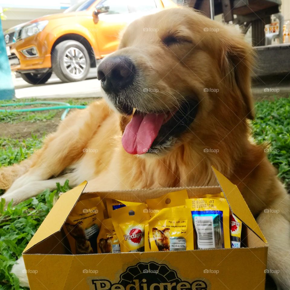 Happiness is box of treats