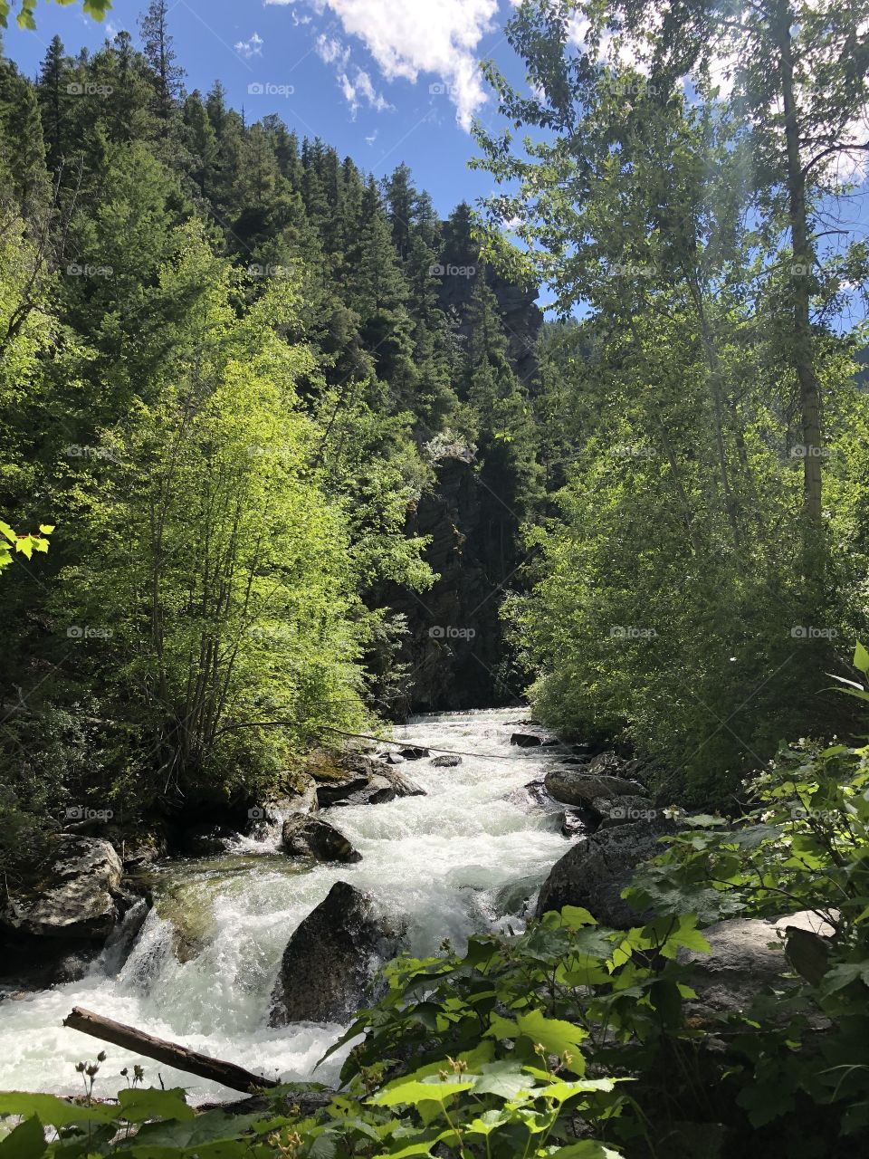 Kootenai Creek, Montana in summer. 