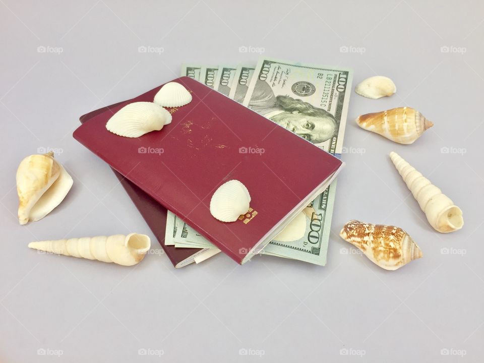 Passport and money 