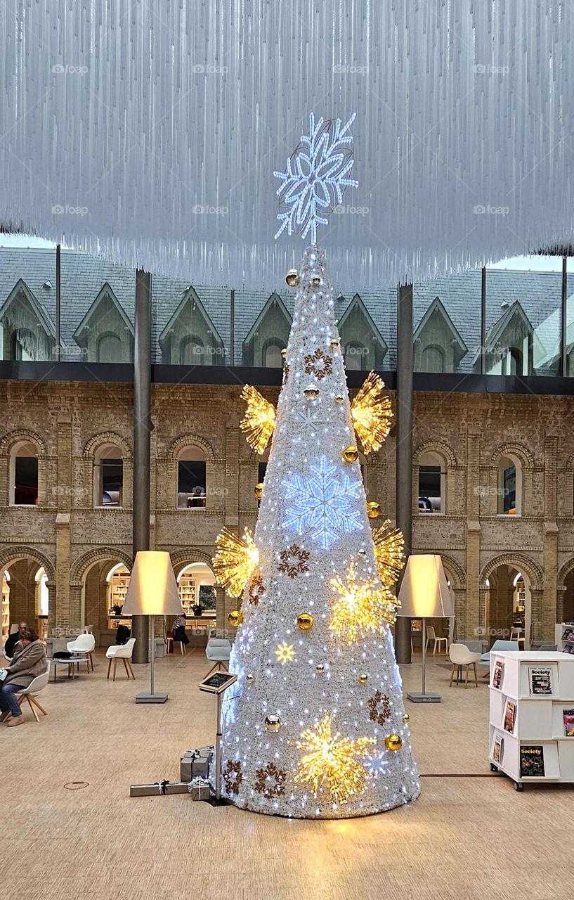 sapin des Franciscaines