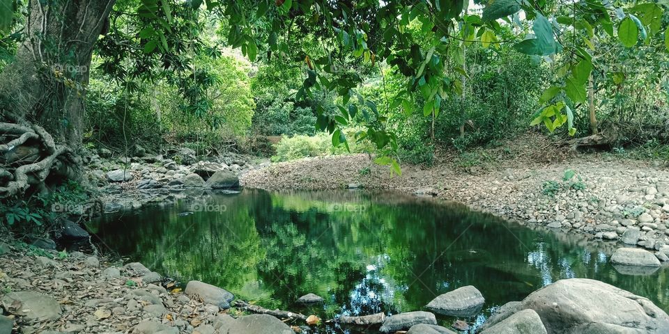 Clean and relaxing lake.