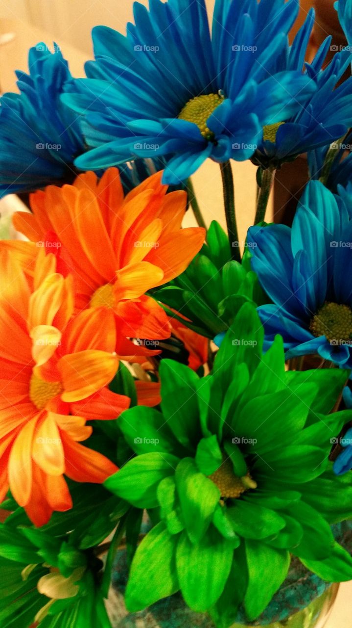 Neon Colored Flowers
