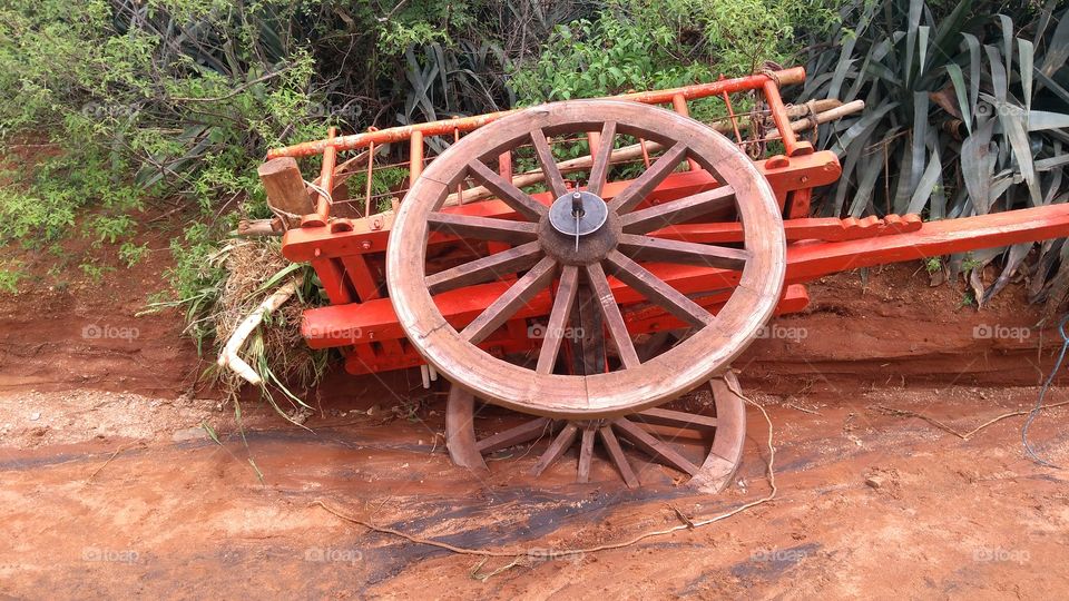 Wooden bullock cart fallen in mud