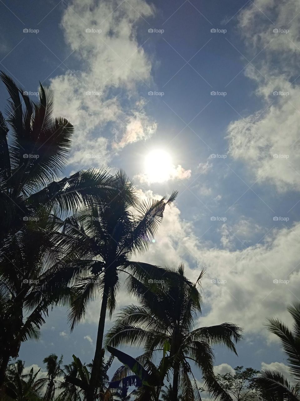 the sun is shining bright