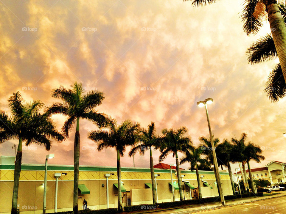 Shopping plaza at sunset with palm trees, Florida