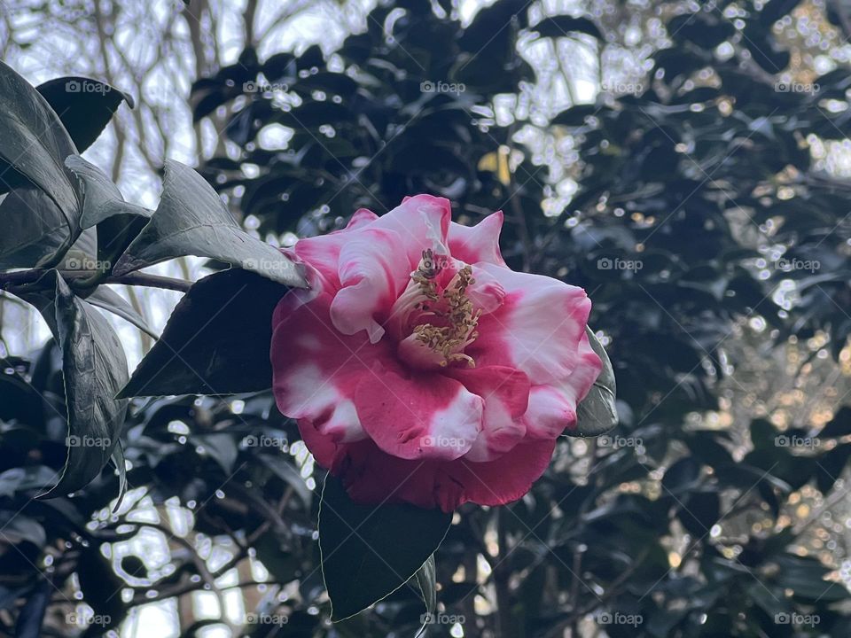 Lue gardens is a warm spot in my heart 