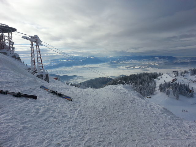 Winter landscape