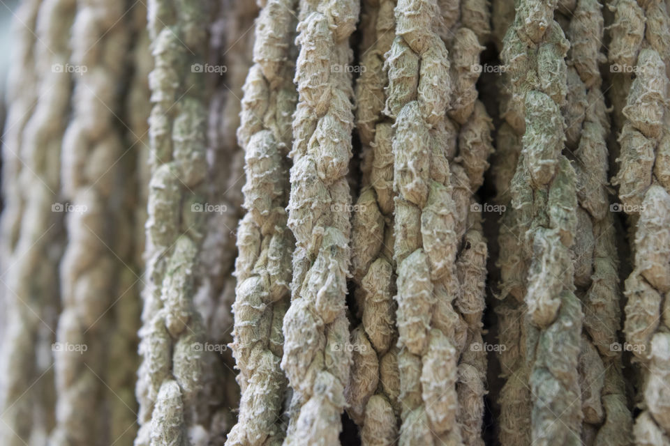 Texture Rope