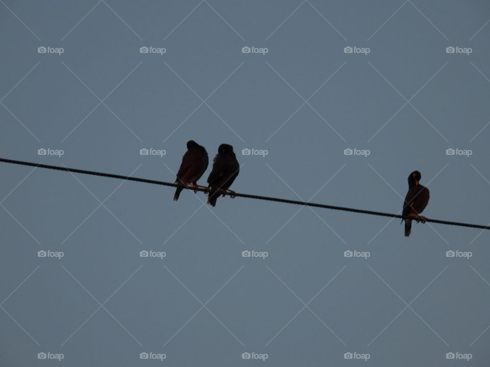 iAm Not Talking To You Two