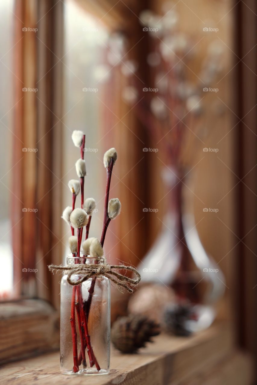 willow branches in a vase