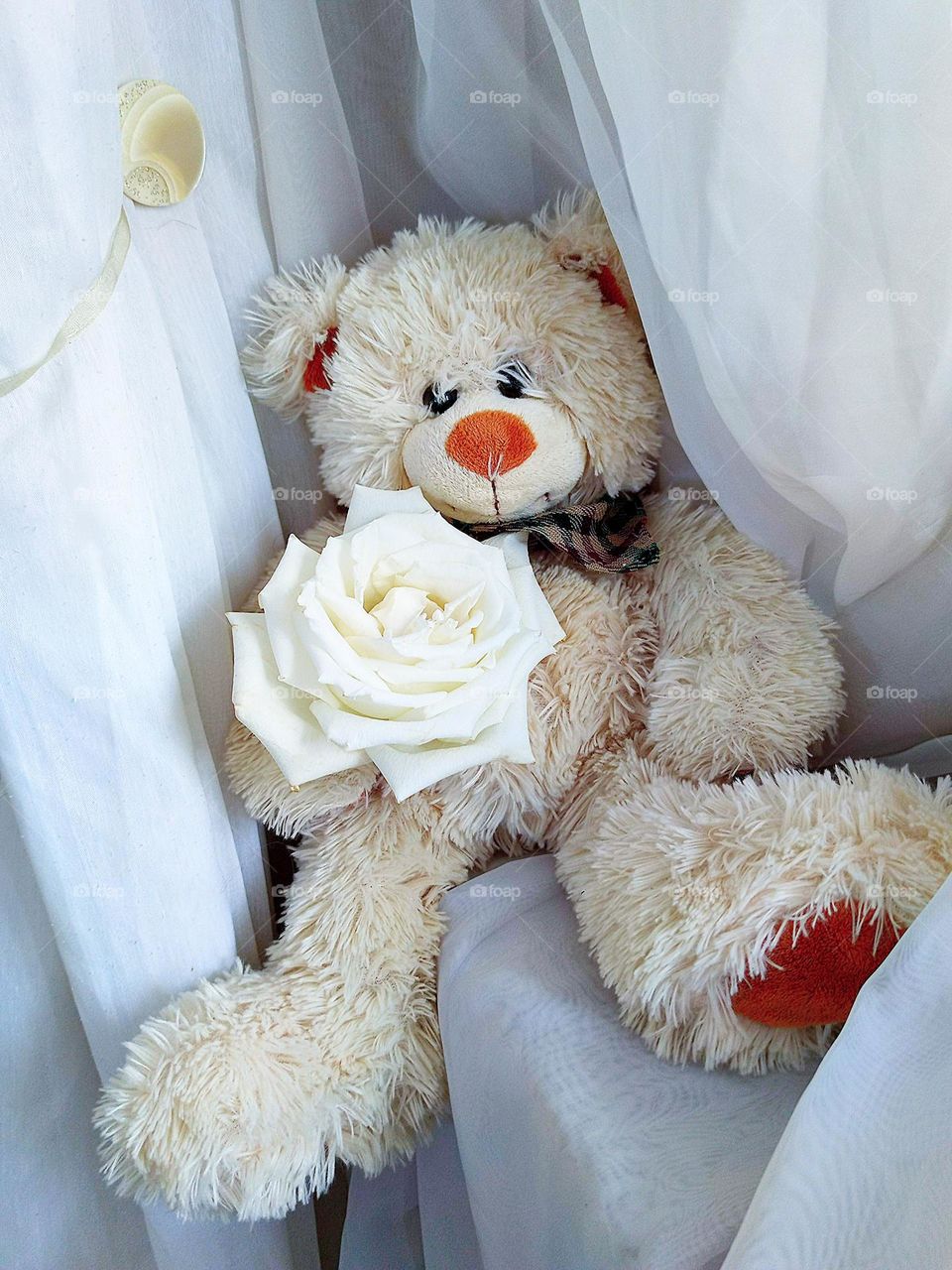 White colour.  A white teddy bear sits on a window sill among white tulle, its leg hanging from the window sill.  White rose in the paws of a teddy bear