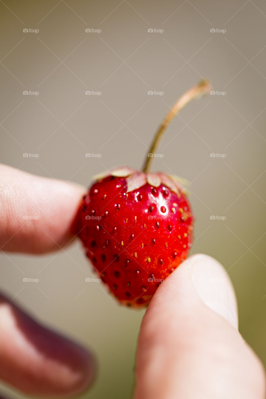 Strawberry