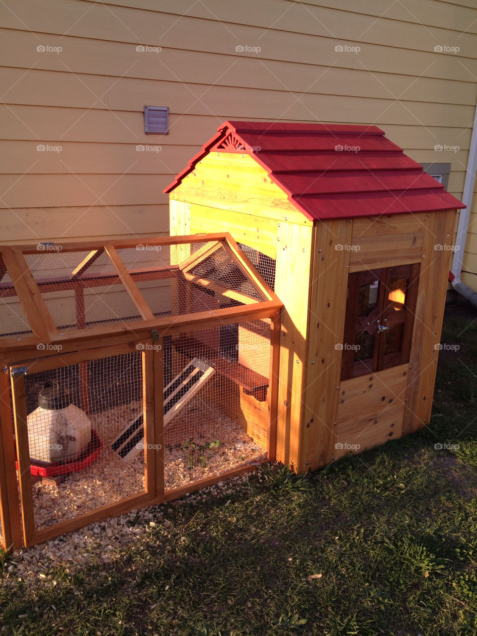chicks chicken coop free range by demolime