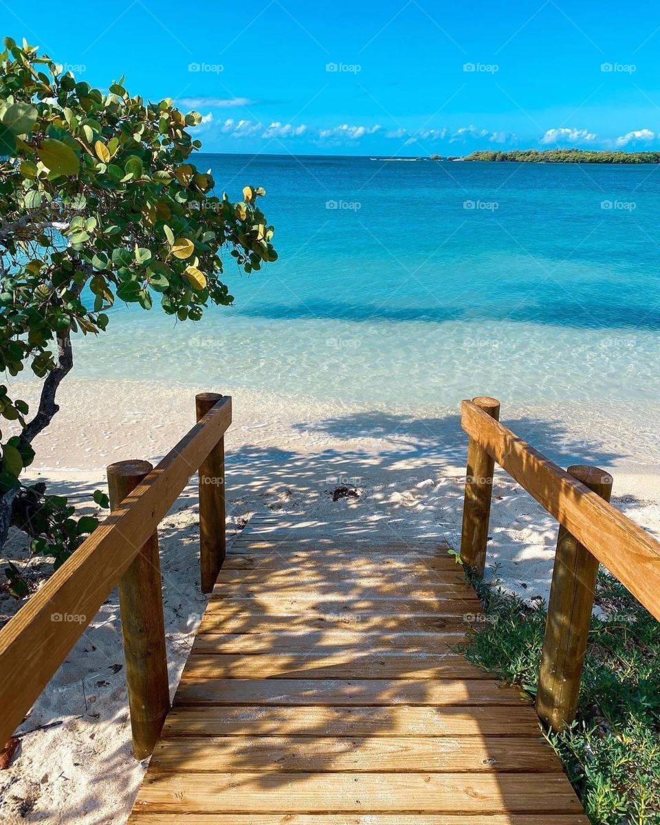 A Happy Life Is A Beach Life 