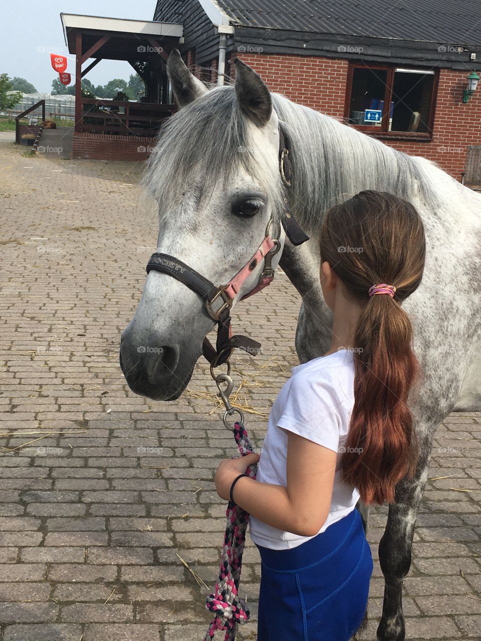 Horse and kind on stable 