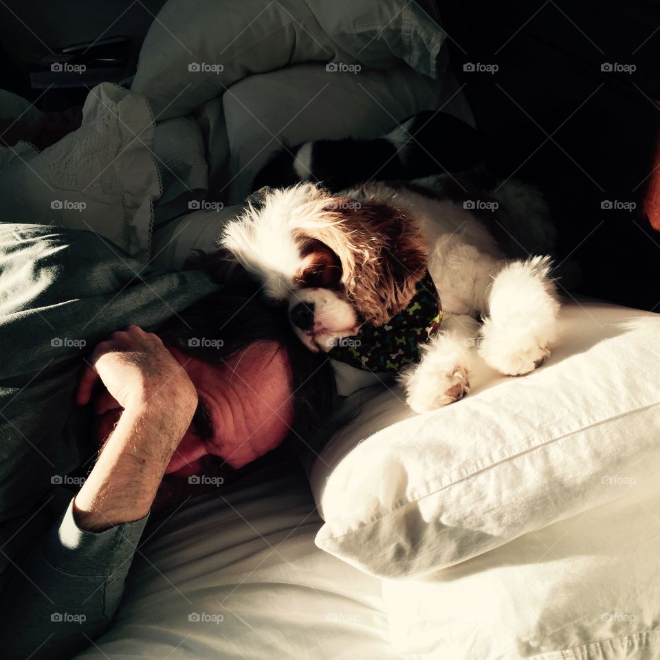 Waking up to the morning's first rays 