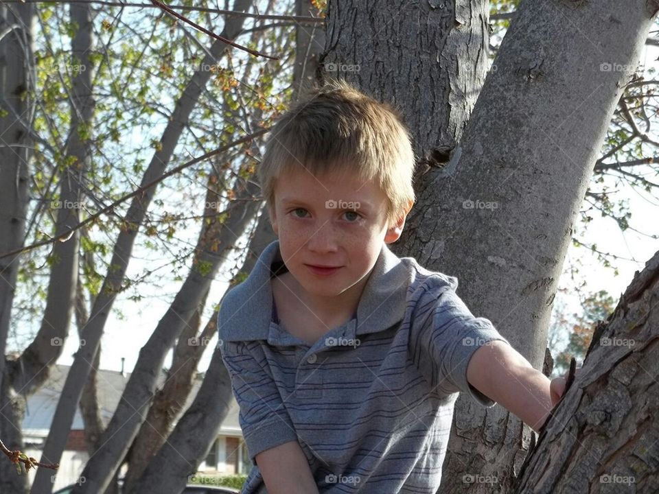 boy in tree