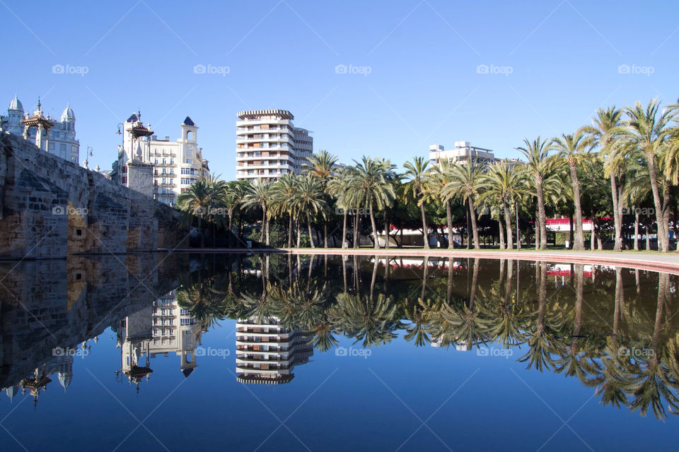 city blue palm trees by ventanamedia