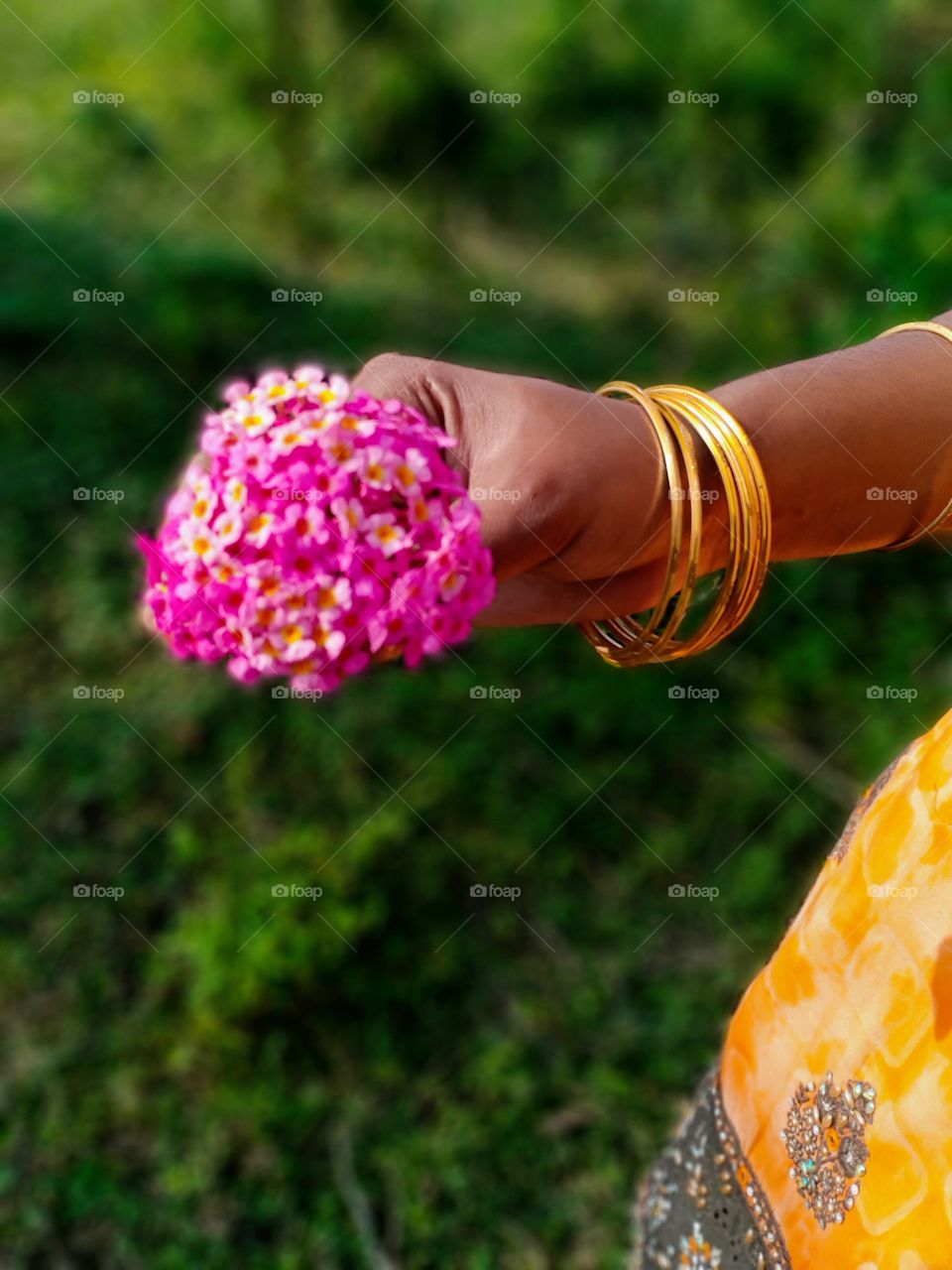 today I pick
 the flower it's rarely in my town