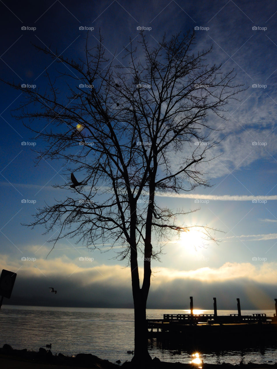 tree clouds river sunrise by delvec