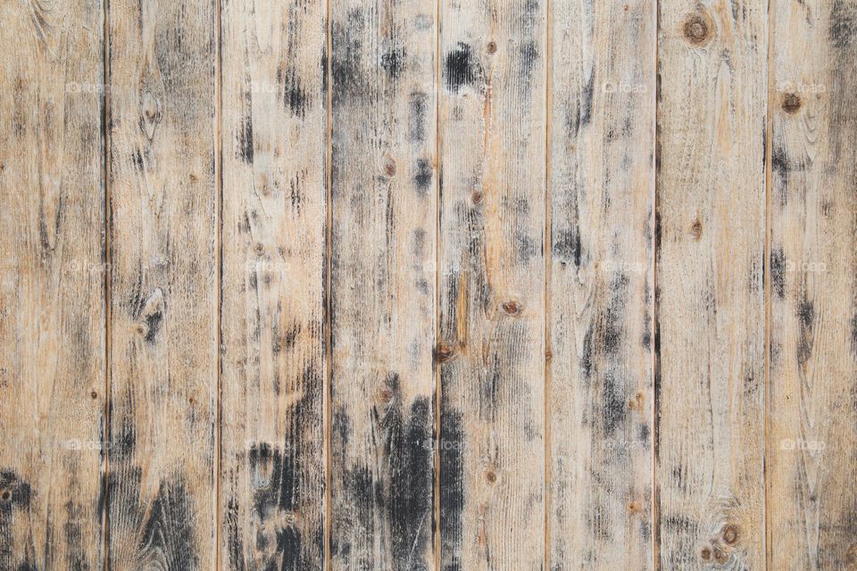 Wood Texture