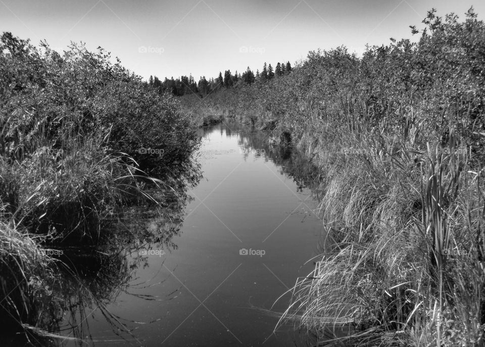 Landscape, Lake, Water, Reflection, River