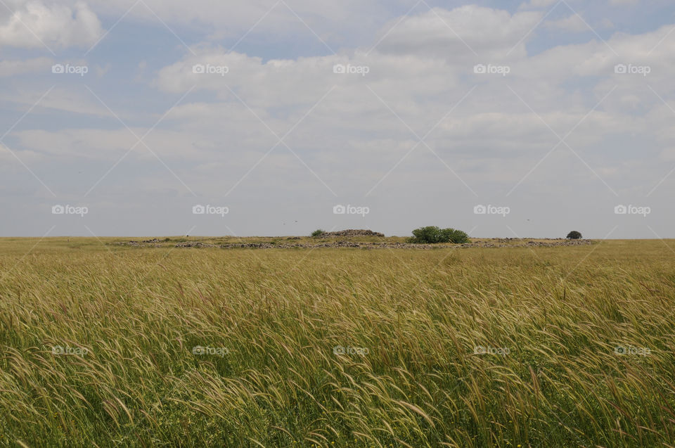 sky field cloud wheat by mkmann