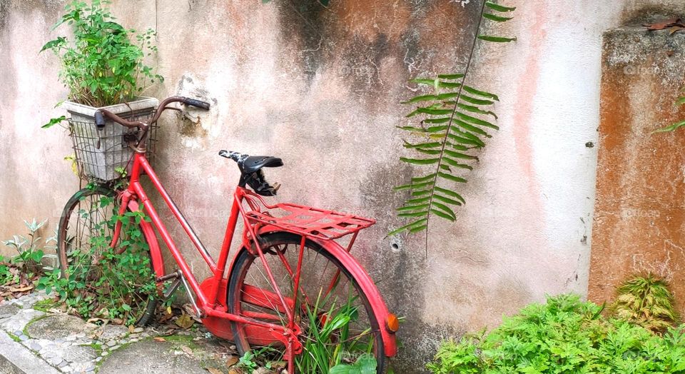 Bicycle being left over and turn into deco.