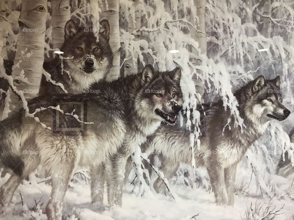 Painting of wolves in the snow