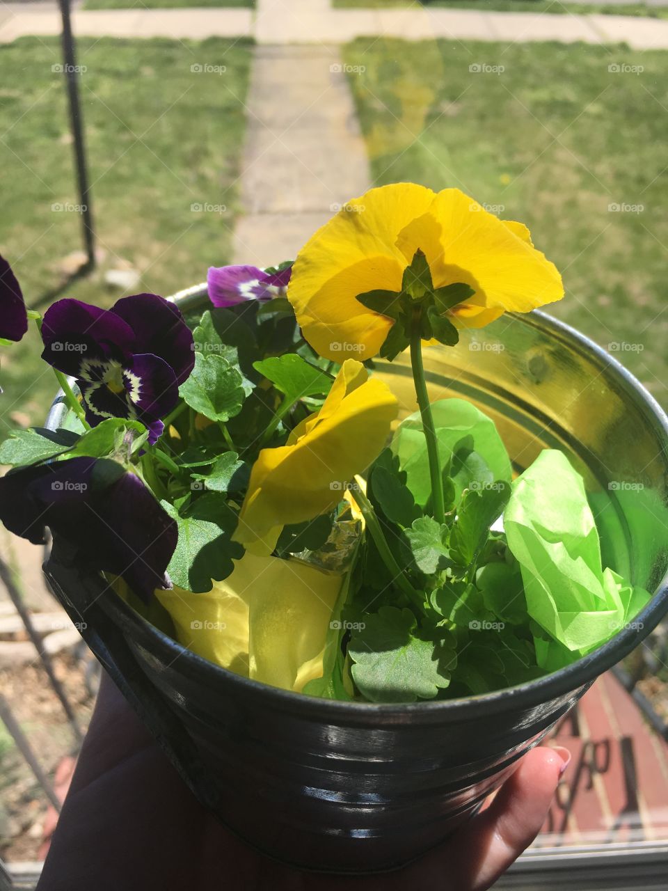 Flowers in a Pot 