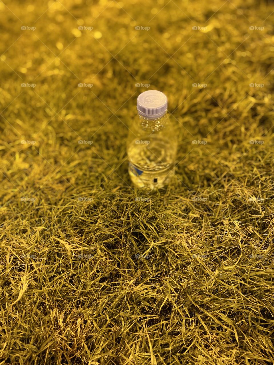 Out sayd with my family on Friday 