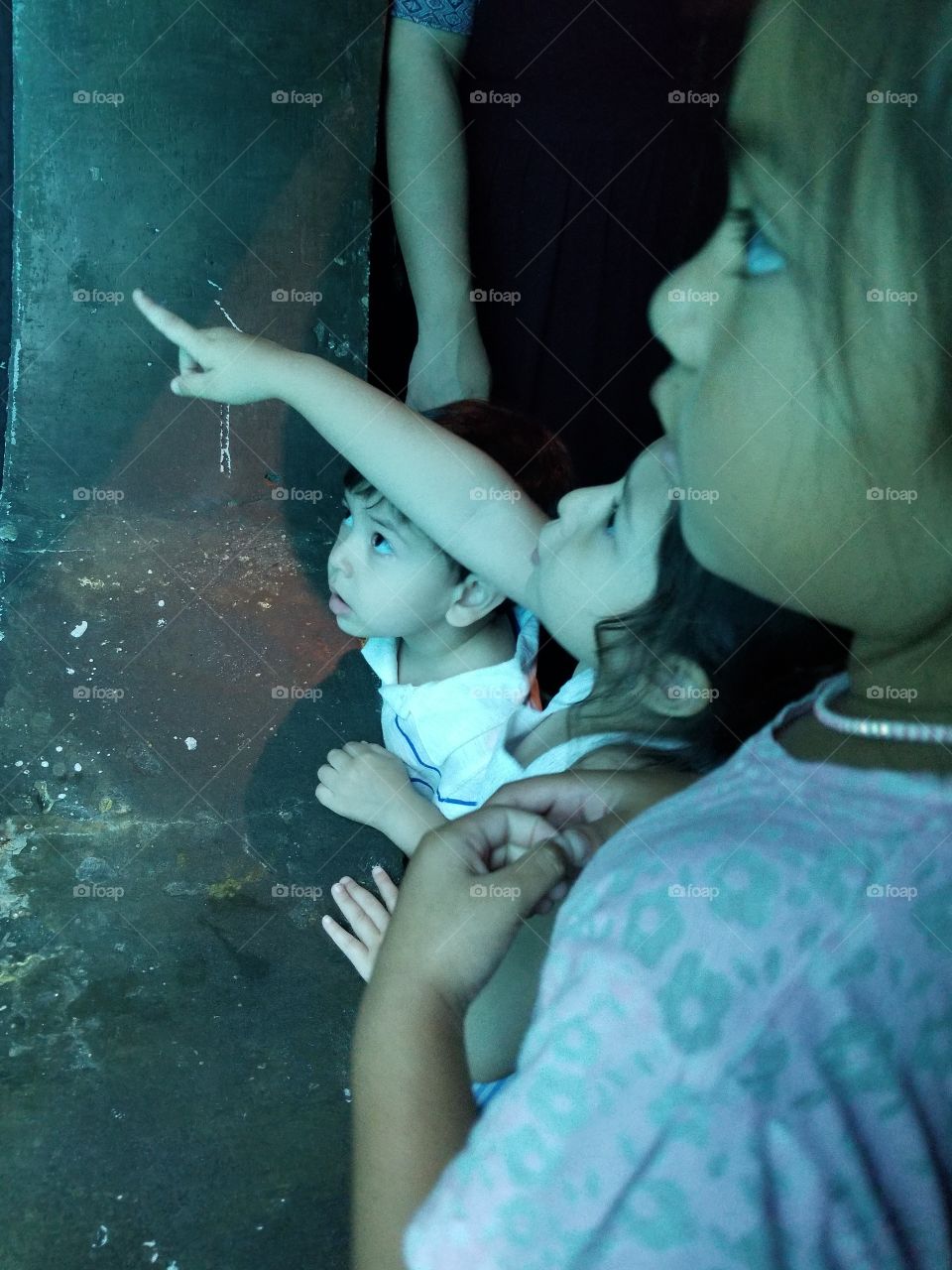 children discovery aquarium