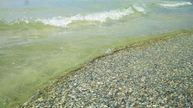 Wave