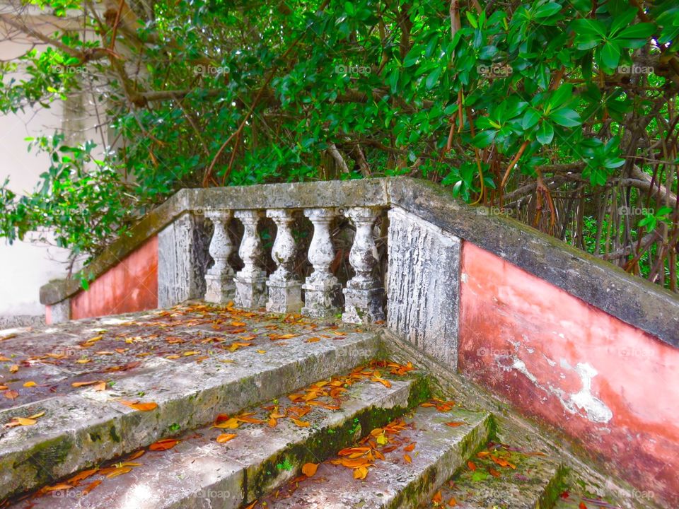 Bridge at Villa Vizcaya. Villa Vizcaya, Miami FL