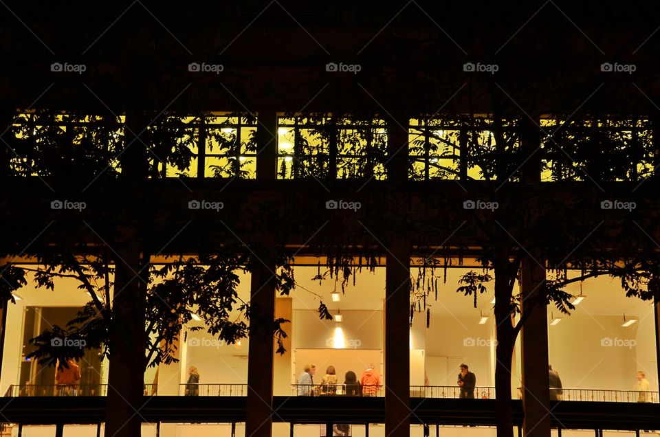 Windows by night - Paris