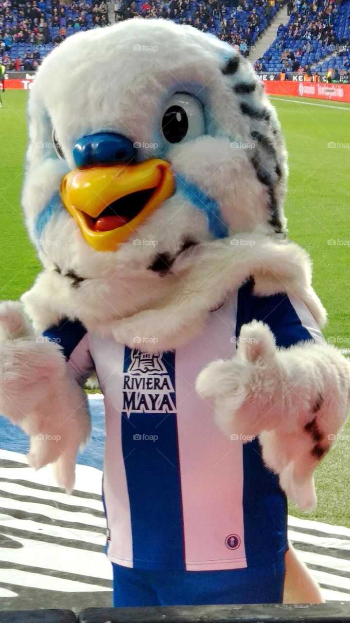 Mascota deportiva