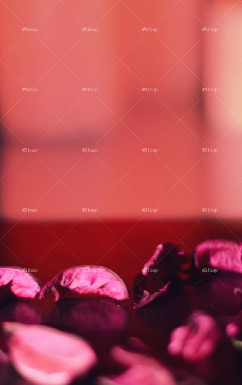 Heart of red flower petals. Orange background from led lamps