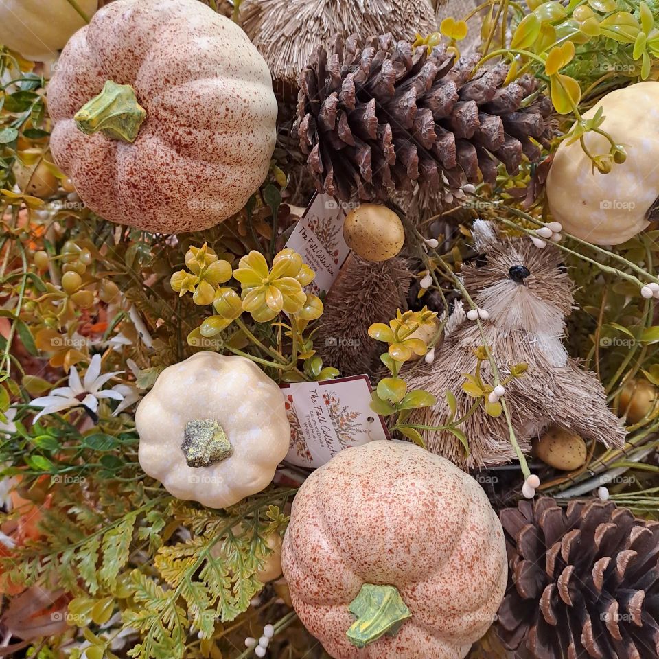 Fall, autumn, colour.halloween display cones pumpkin