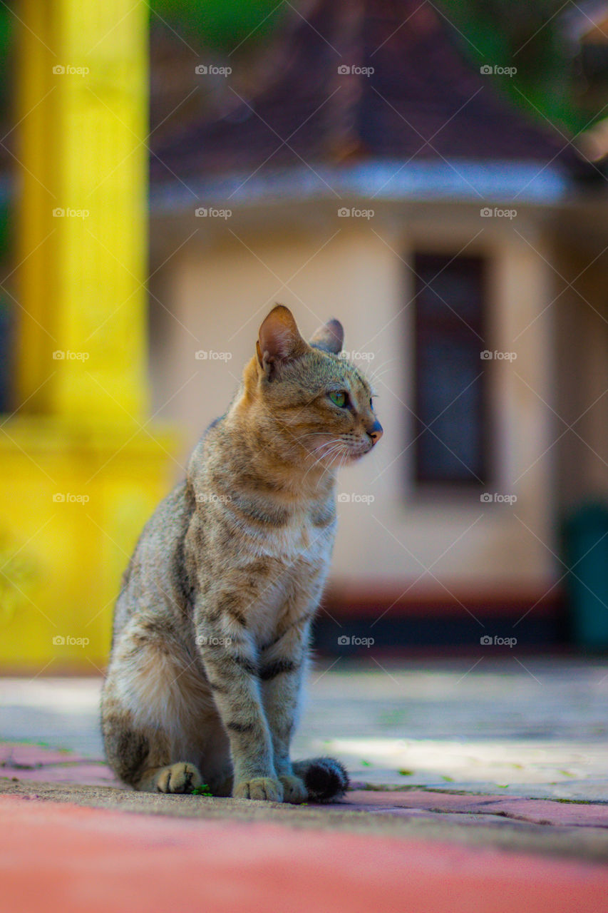 how much do you like this photo