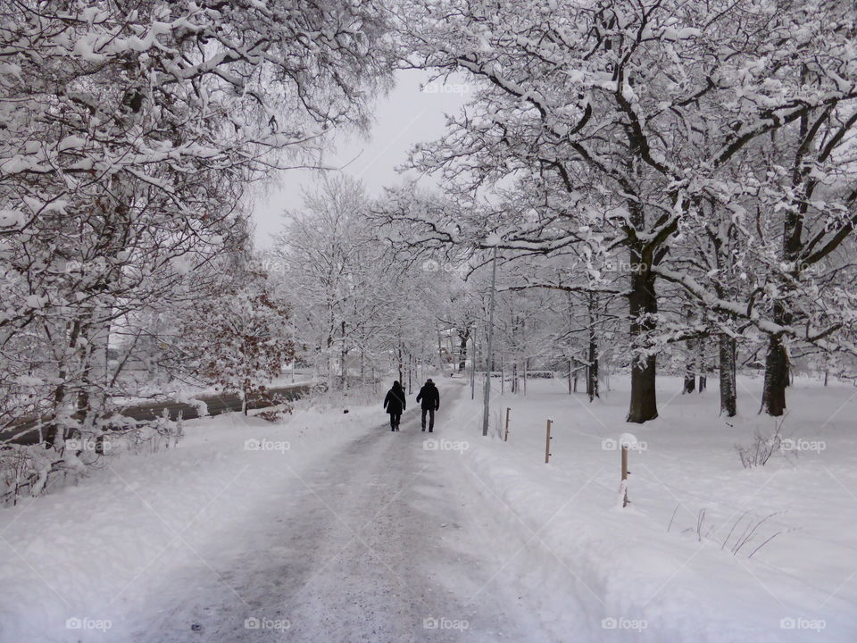 Walking in a snowy winter landscape