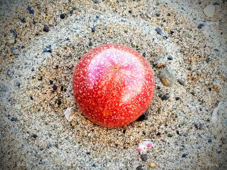 the sand with color