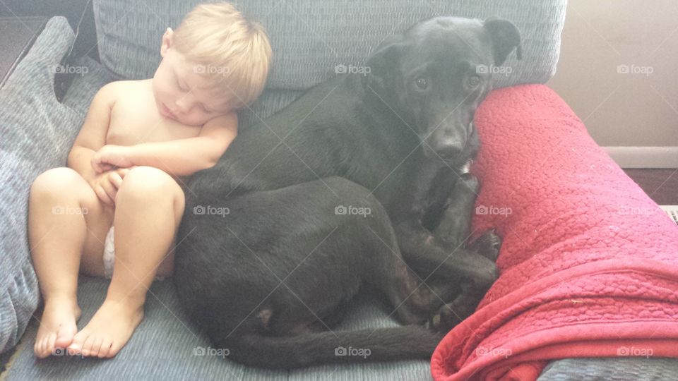 Cute boy sleeping on sofa with black dog