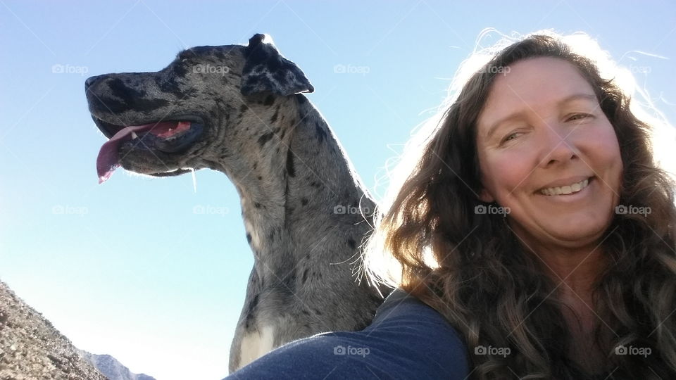 Great Dane morning hike