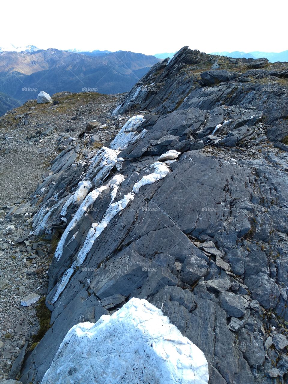 Quartz and Granite Rock Face