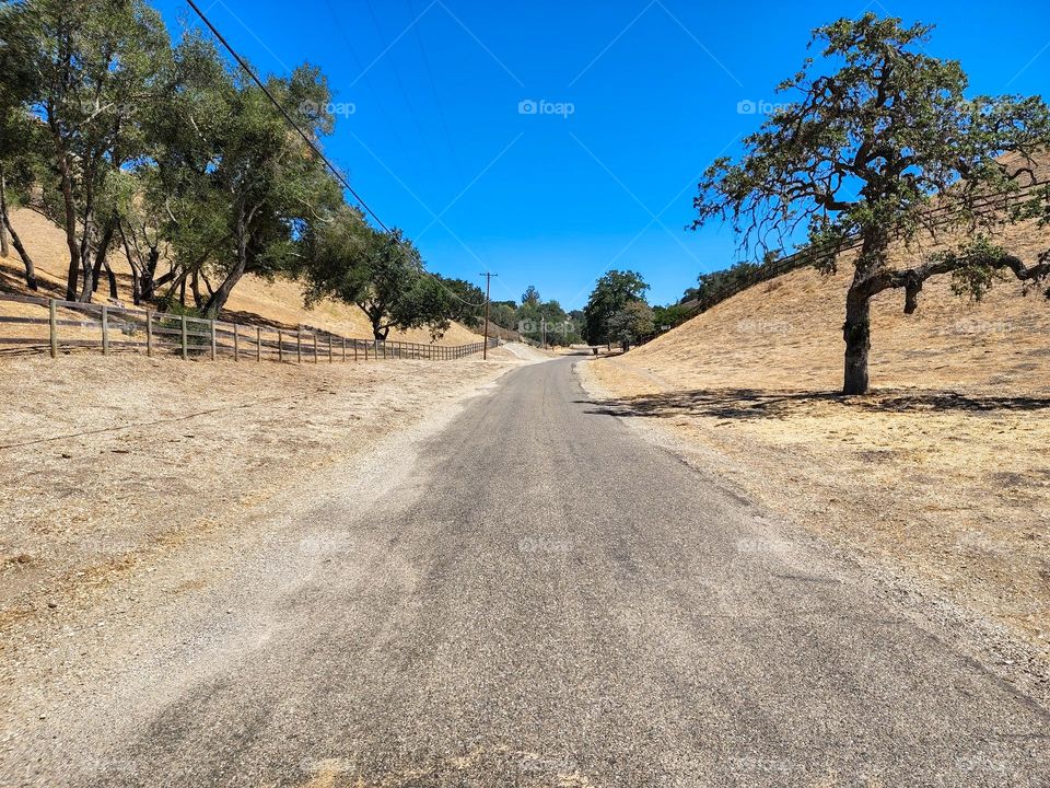 A weather beaten road in the country lined with beautiful trees