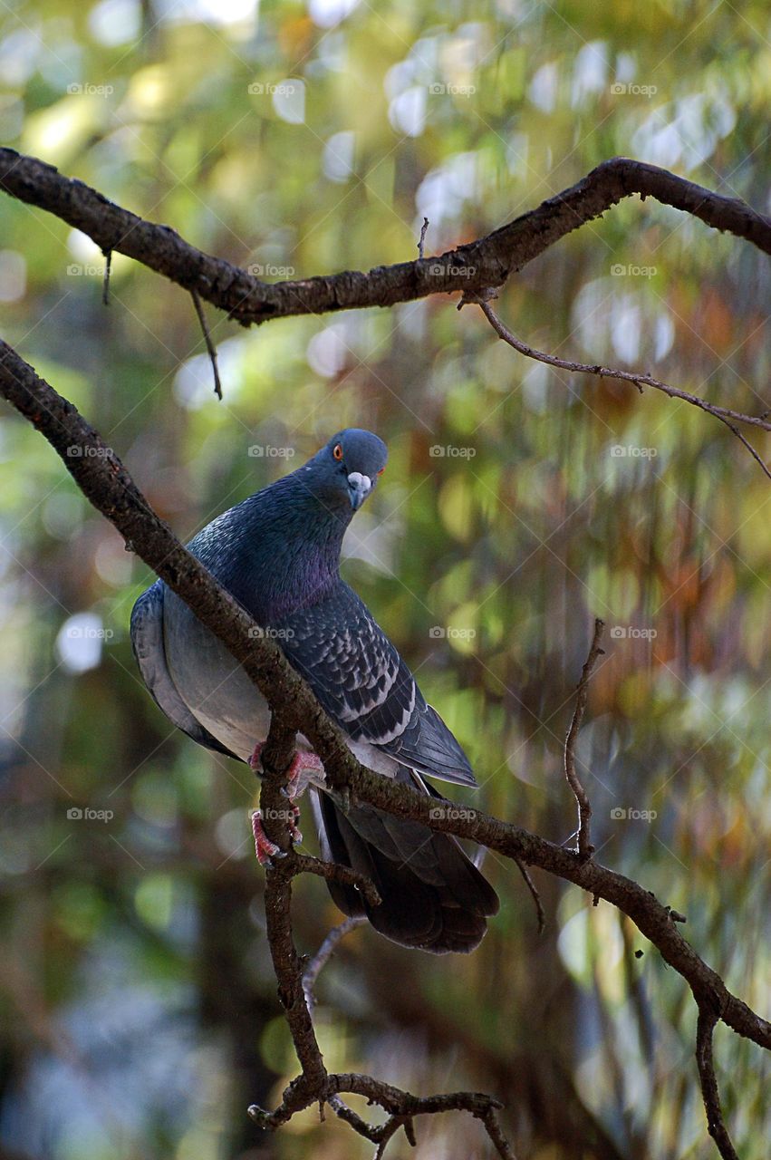 What are you looking for?!