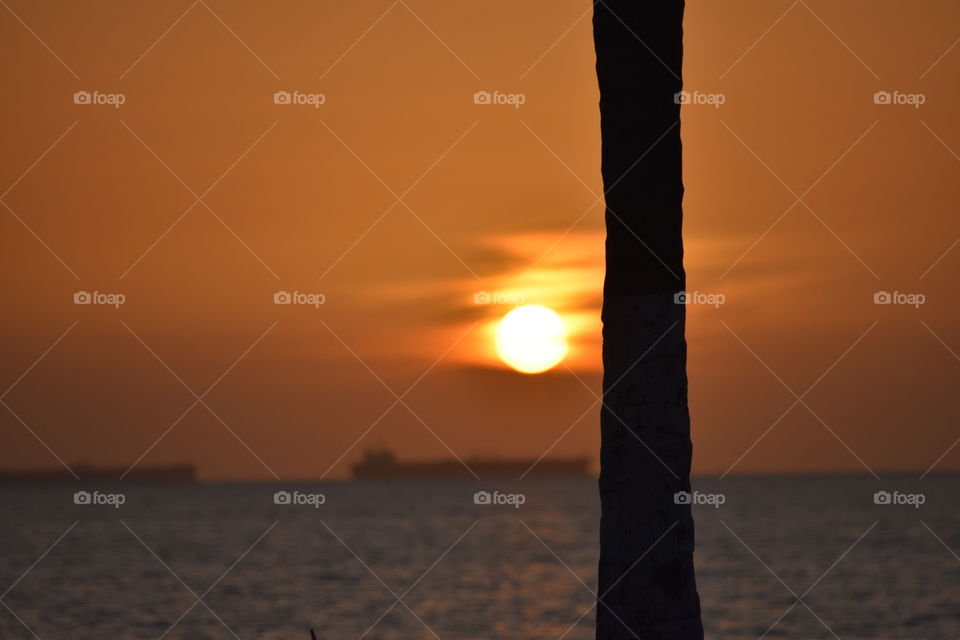 The sun goes down and this beauty shows up 