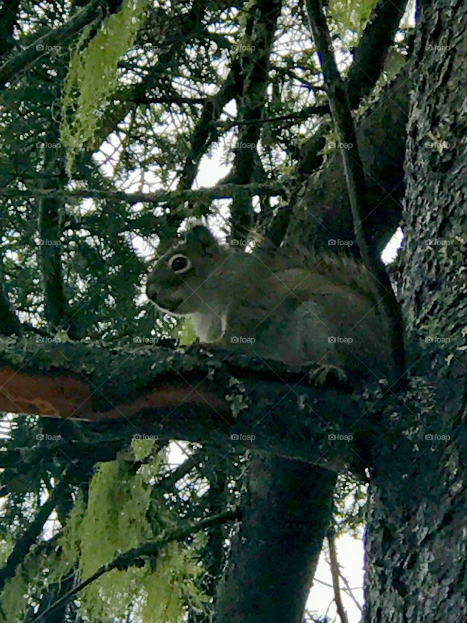 Still as a statue. It was almost as though he thought “ if I don’t move, she won’t see me”.