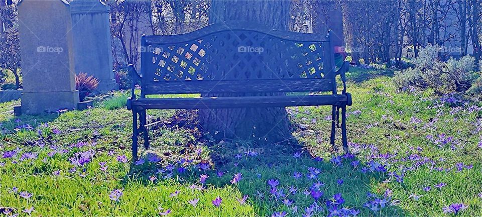 This beautiful ornamented bench is part of the “Waldfriedhof”, the “Forest Cemetery” in “Straubing”, “Niederbayern” or “Lower Bavaria”. 2024. Hypnotic Productions