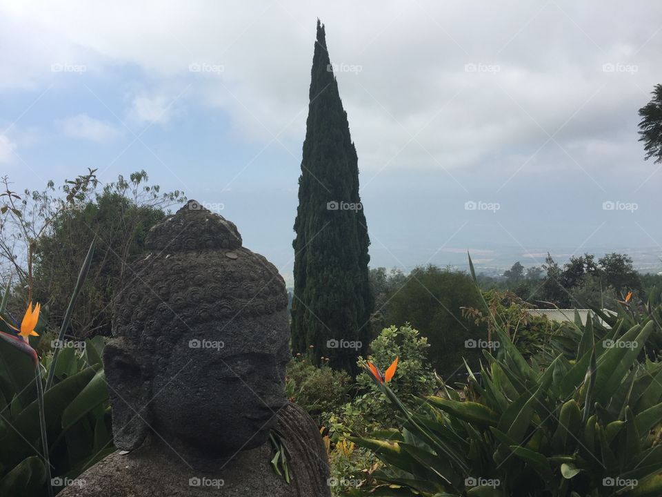 Buddha in the mountains